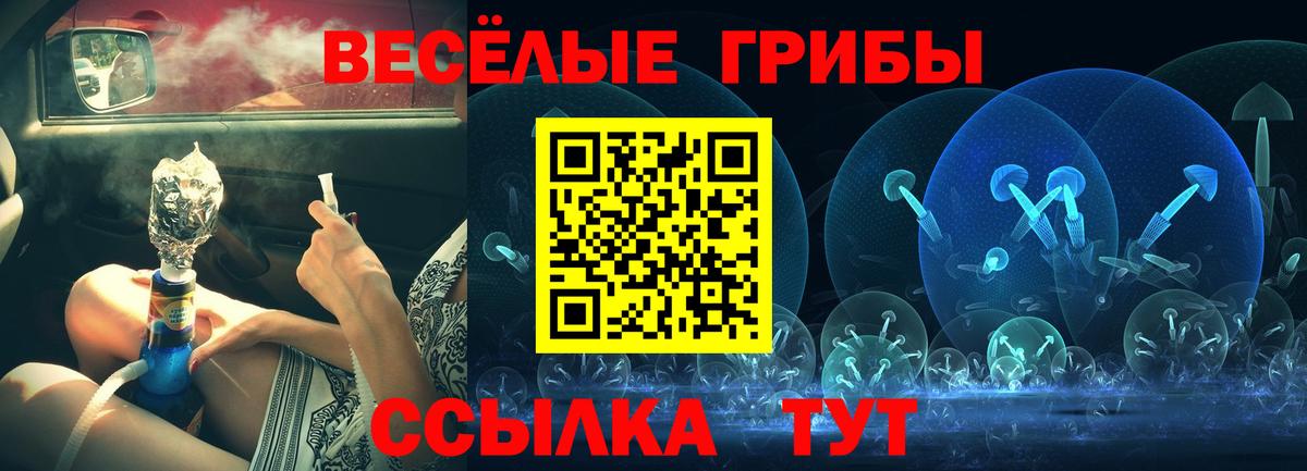 Дальнегорск  Псилоцибиновые грибы Cubensis  Псилоцибиновые грибы Cubensis  Вход с VPN 